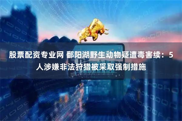 股票配资专业网 鄱阳湖野生动物疑遭毒害续：5人涉嫌非法狩猎被采取强制措施