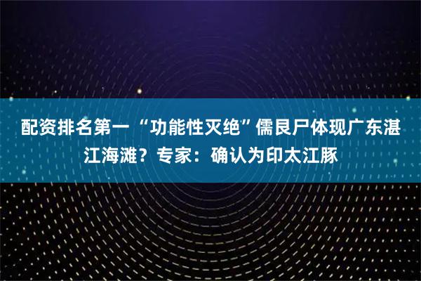 配资排名第一 “功能性灭绝”儒艮尸体现广东湛江海滩？专家：确认为印太江豚
